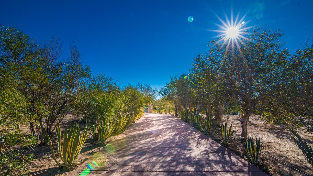 Vila Kasbah Idriss Warzazát Exteriér fotografie
