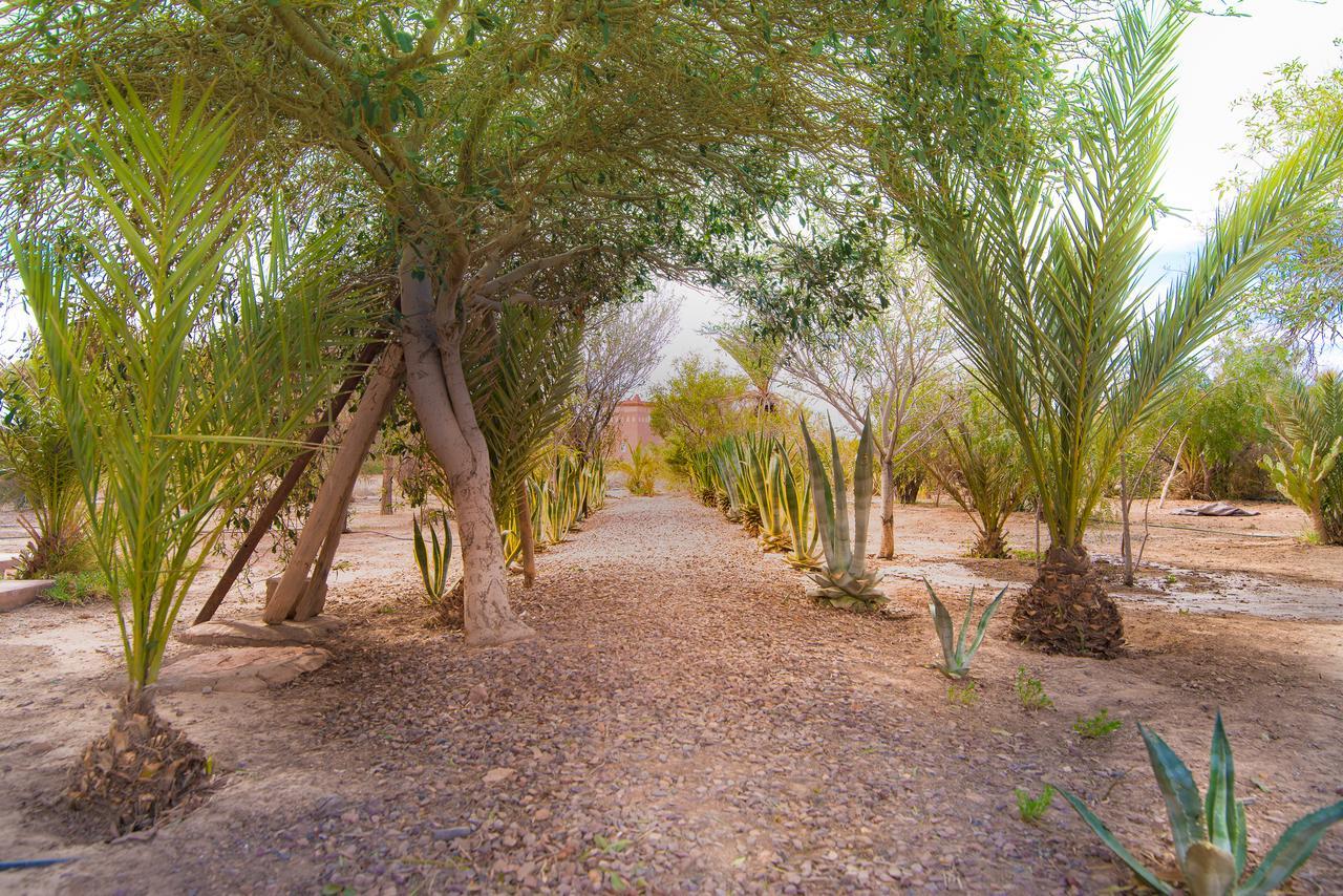 Vila Kasbah Idriss Warzazát Exteriér fotografie